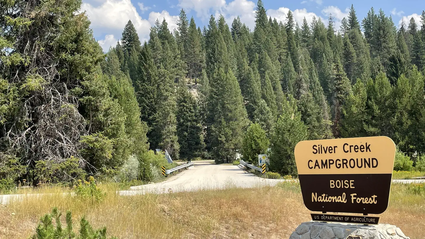Silver Creek Campground entrance in lodgepole pines